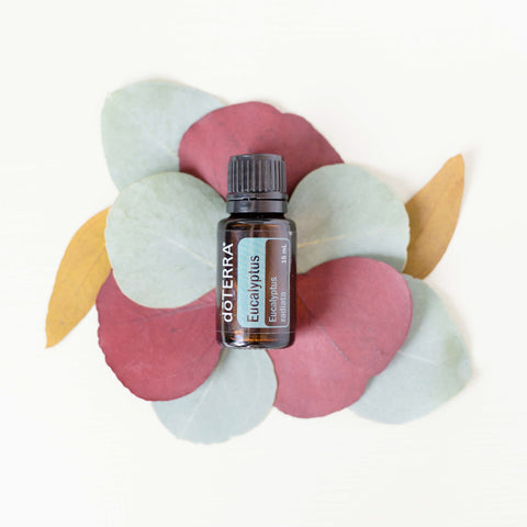Weekly Drop of Wisdom | 6 Benefits of Using Eucalyptus Essential Oil