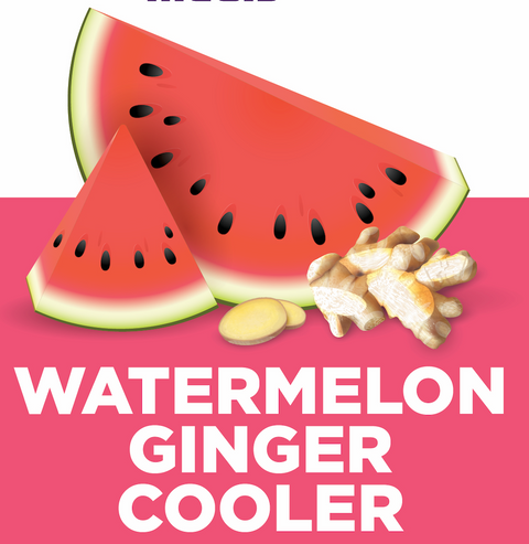 Watermelon Ginger Cooler - 16oz